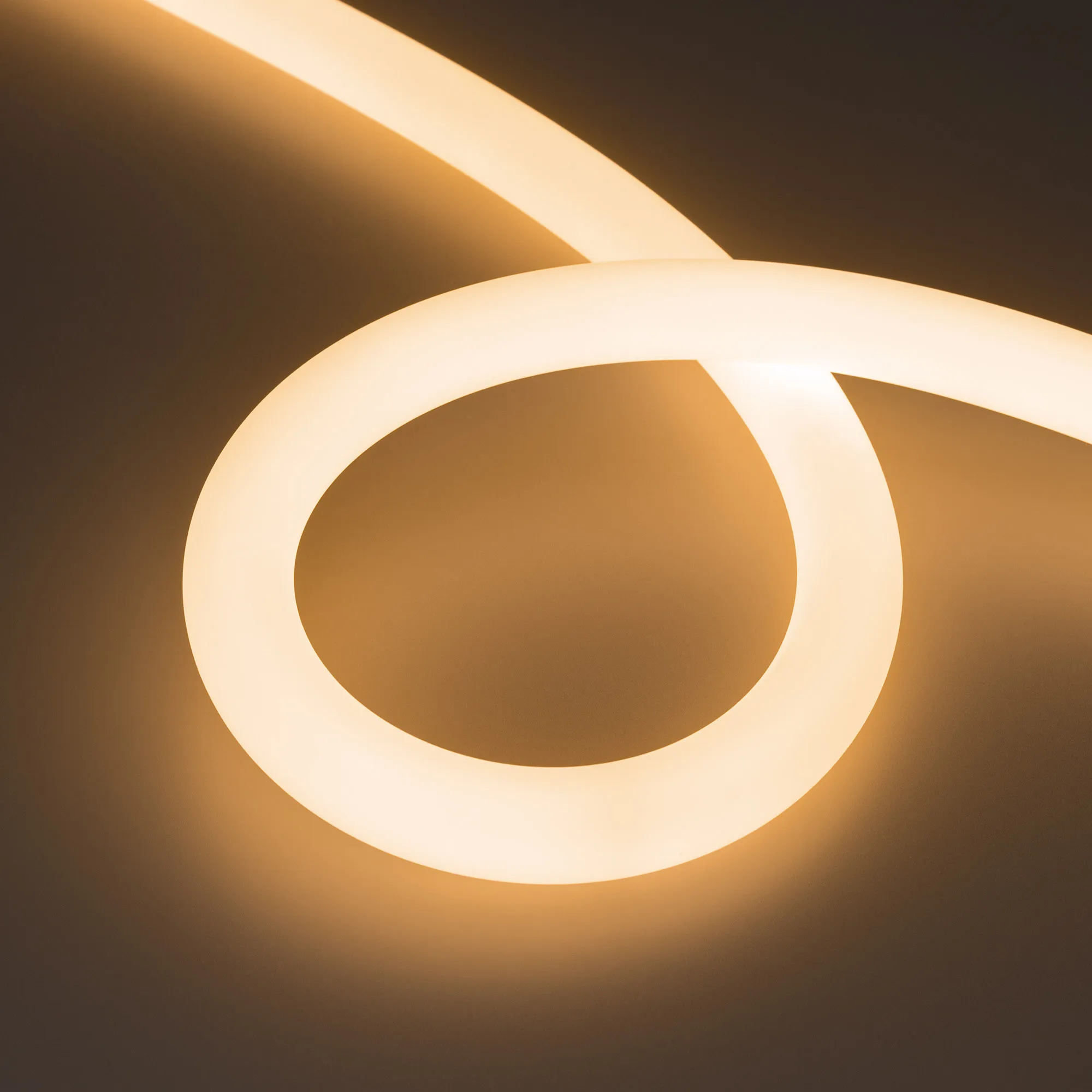 Лента светодиодная герметичная MOONLIGHT-SIDE-FP-X1088-D25mm 24V Warm2700 (20 W/m, IP65, 5m, wire x1) (Arlight, Вывод боковой, 3 года) - изображение товара